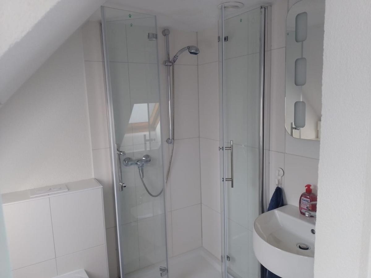 Apartment Biesnitz Гёрлиц Экстерьер фото